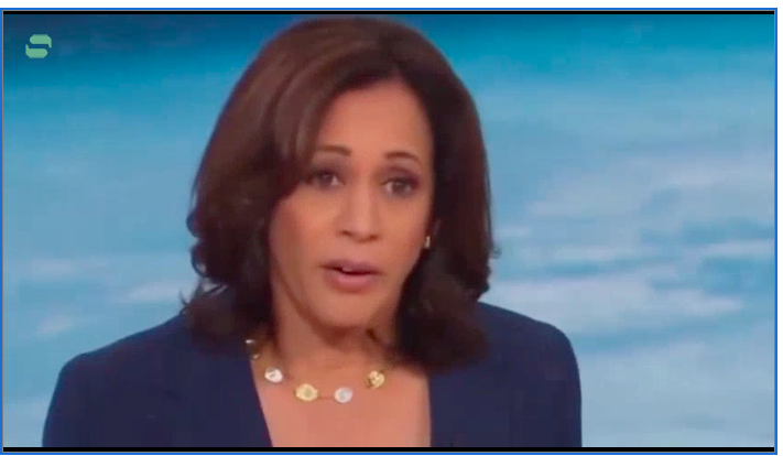 Trump Campaign Uses Harris’ CNN Interview In Devastating Ad – Video