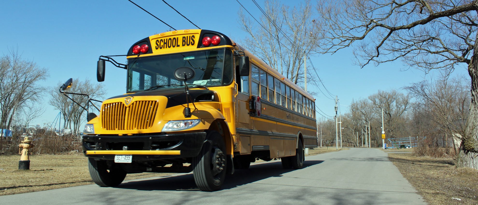 Terrifying Video Shows School Bus Driver Hit by Object on Highway